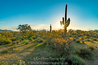_DSC4126-HDR