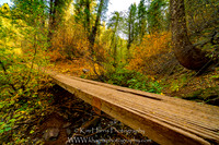Miicreek Canyon The Bridge