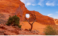 _DSC4616-HDR-Edit